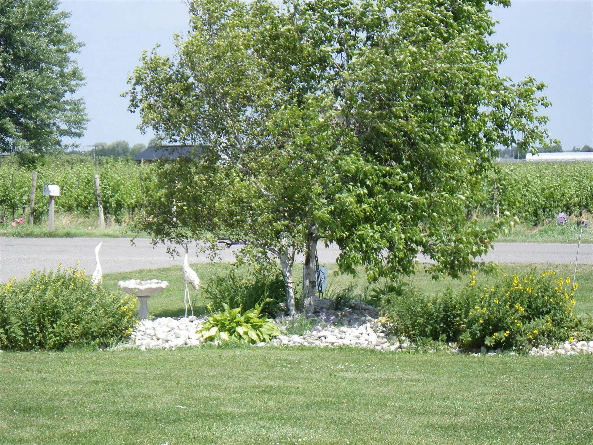 A Vineyard View Bed And Breakfast Niagara-on-the-Lake Exterior photo