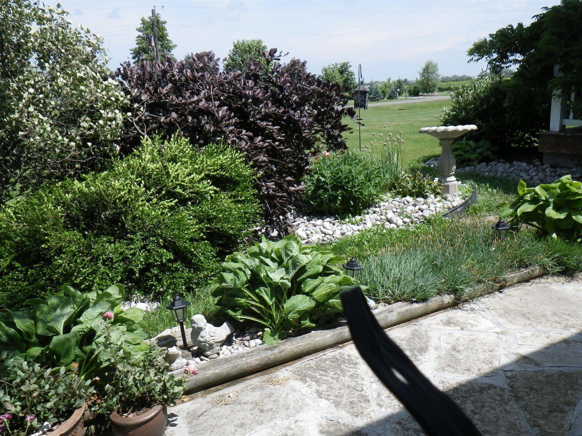 A Vineyard View Bed And Breakfast Niagara-on-the-Lake Exterior photo